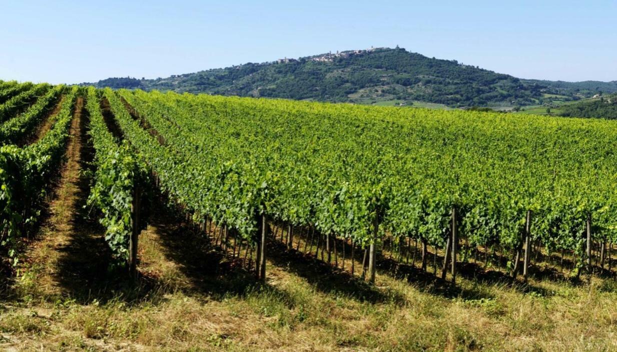 Cordella In Montalcino Wine Resort Экстерьер фото